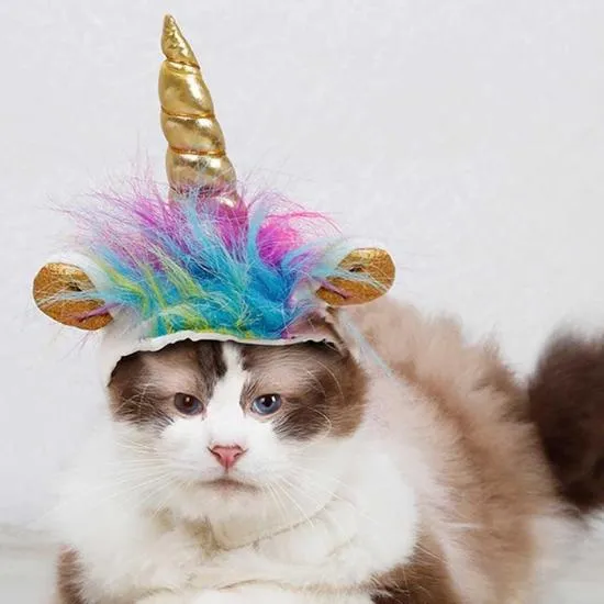 Caticorn Hat