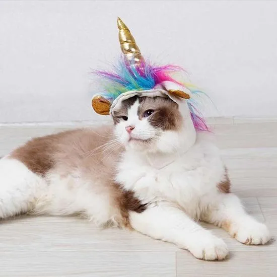 Caticorn Hat