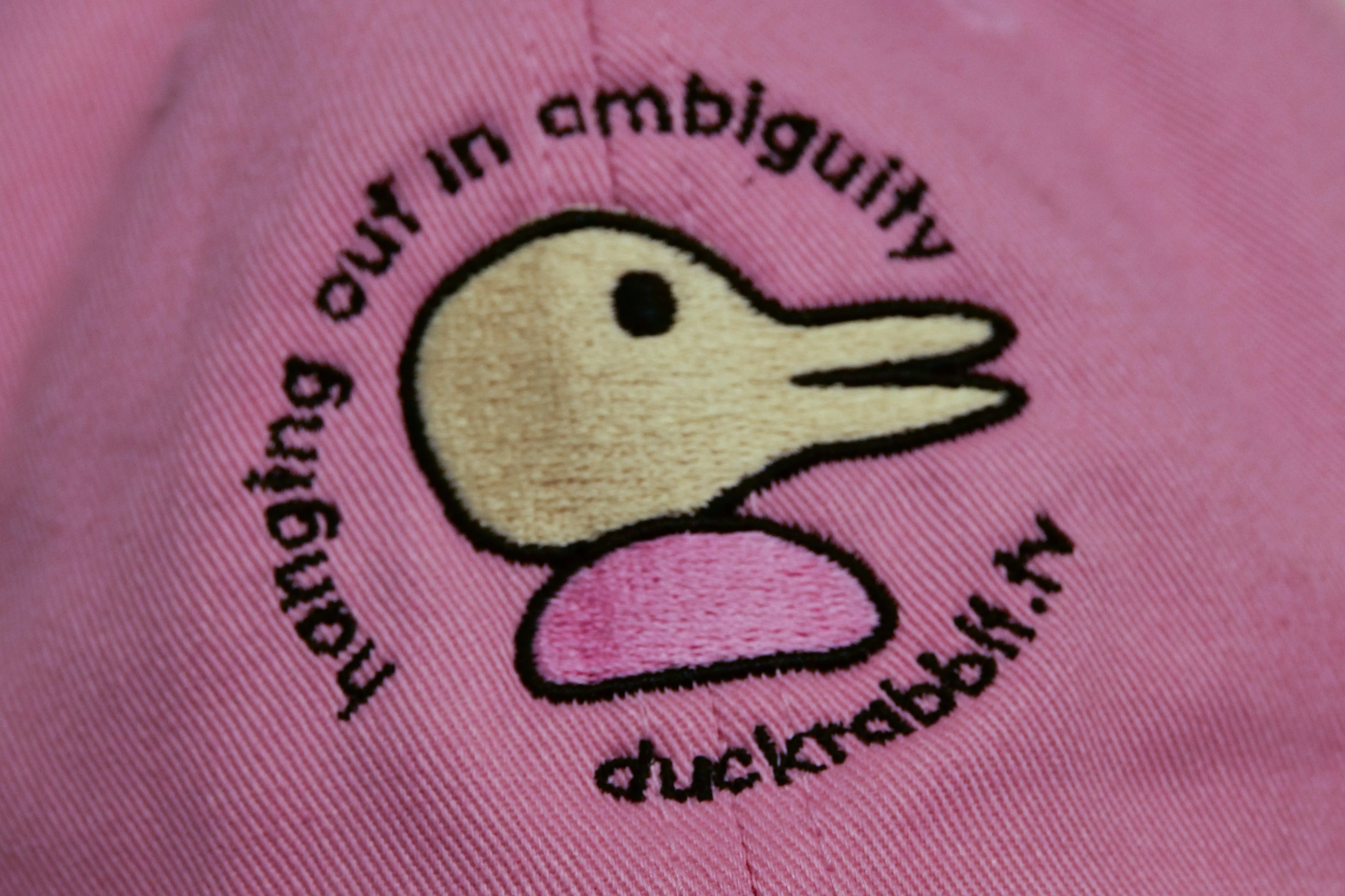 duckrabbit cap