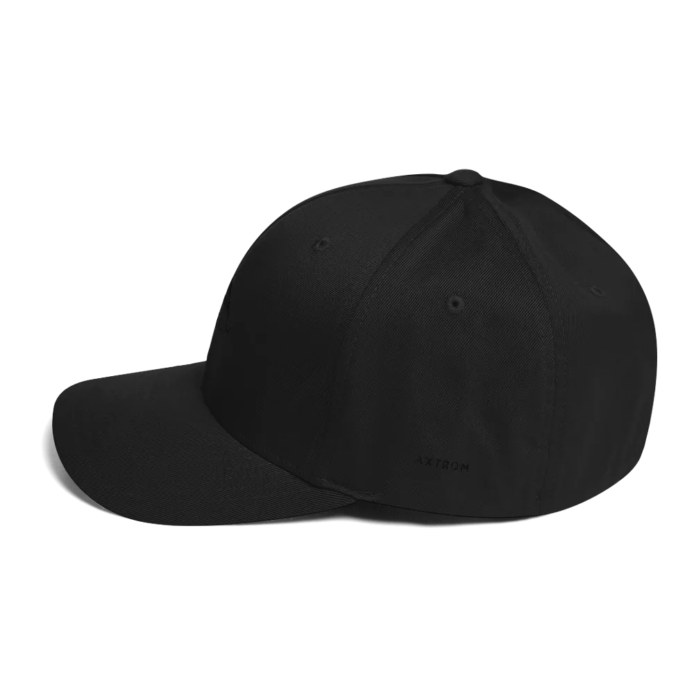 Flexfit Cap (Black/Black)