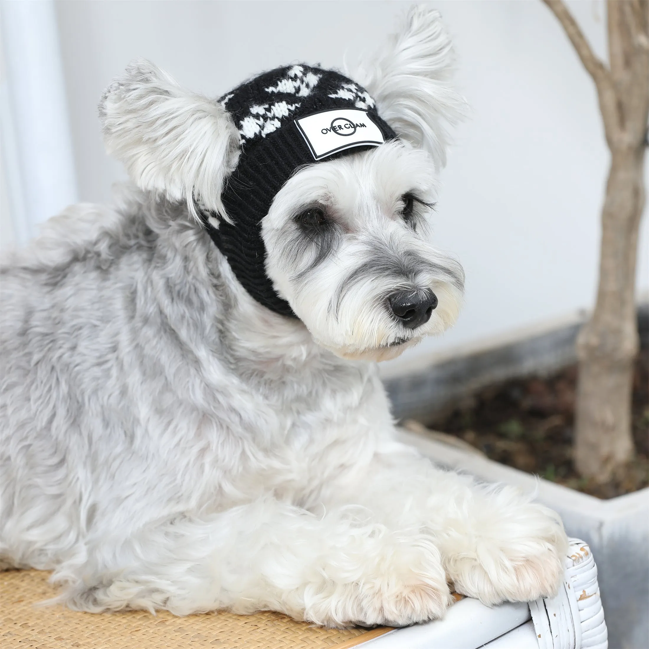 Floral Jacquard Woolen Hat