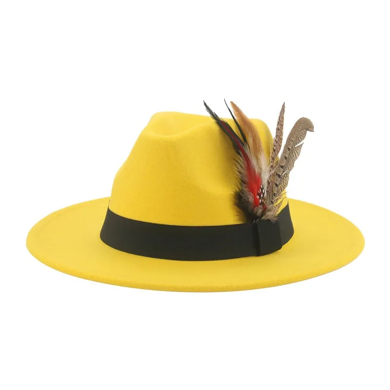 Hat Fedoras Winter Women Hats Men Felt Hat Feather Luxury Fashion hat Popular