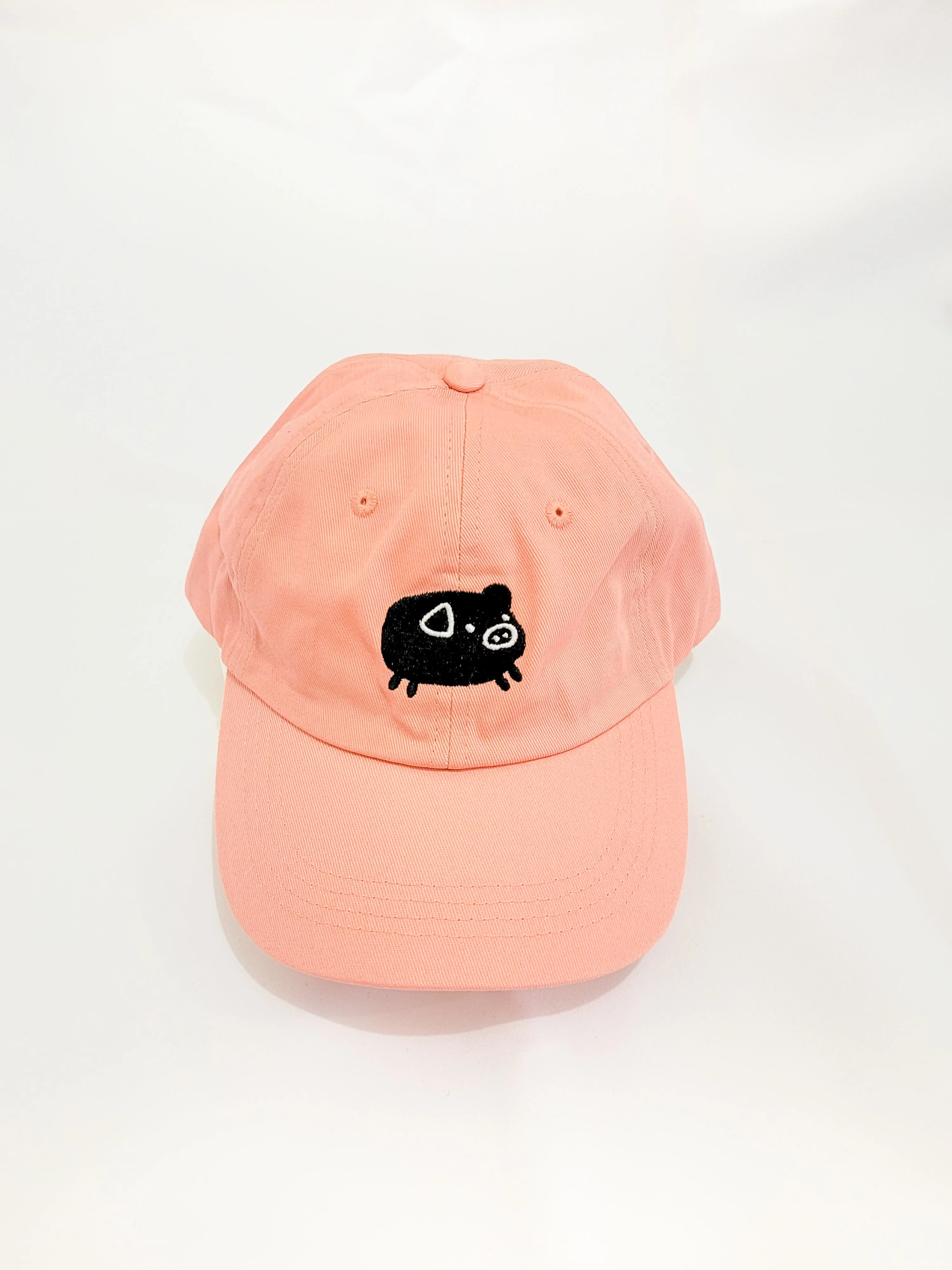 PIG cap