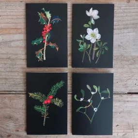 Traditional Christmas Card Pack - Winter Foliage