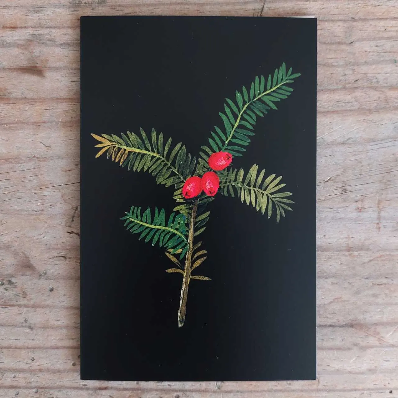 Traditional Christmas Card Pack - Winter Foliage